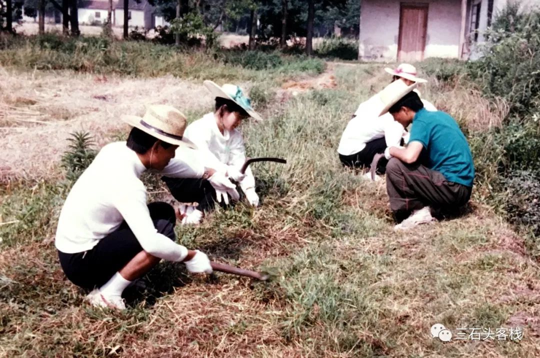 华政的简介,华政的故事