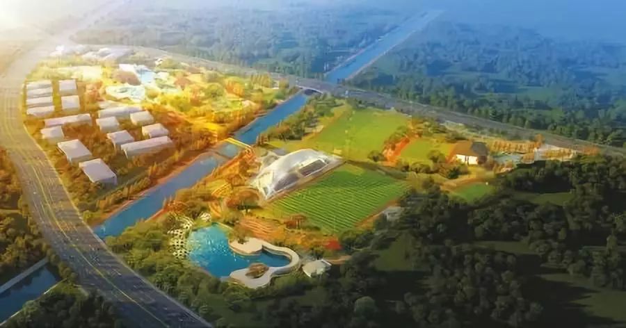 成都城东足球公园体育场,成都人工草坪足球场规划