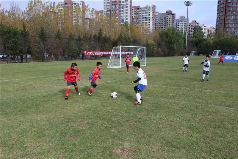「青训」秋季精英系列赛进入首个比赛日铁西区中小学足球赛产生冠军