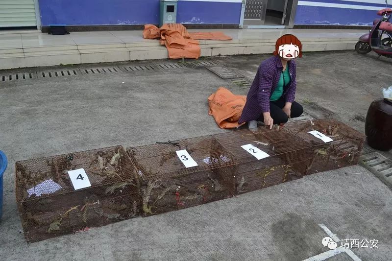 昆仑行动保健食品事件,2019年昆仑行动假药事件