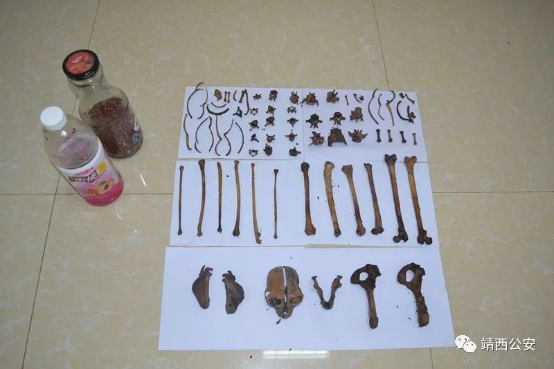 昆仑行动保健食品事件,2019年昆仑行动假药事件