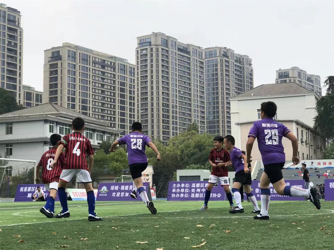 莲都学校,莲都教育局