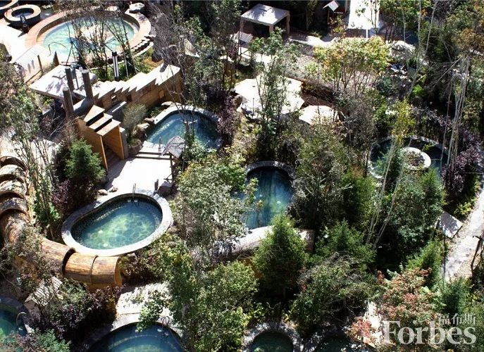 福布斯度假指南,福布斯打卡