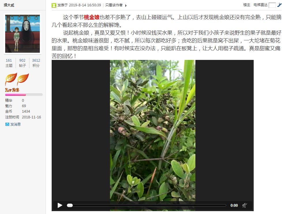 桂林特产野生果,广西桂林冬天山上的野果