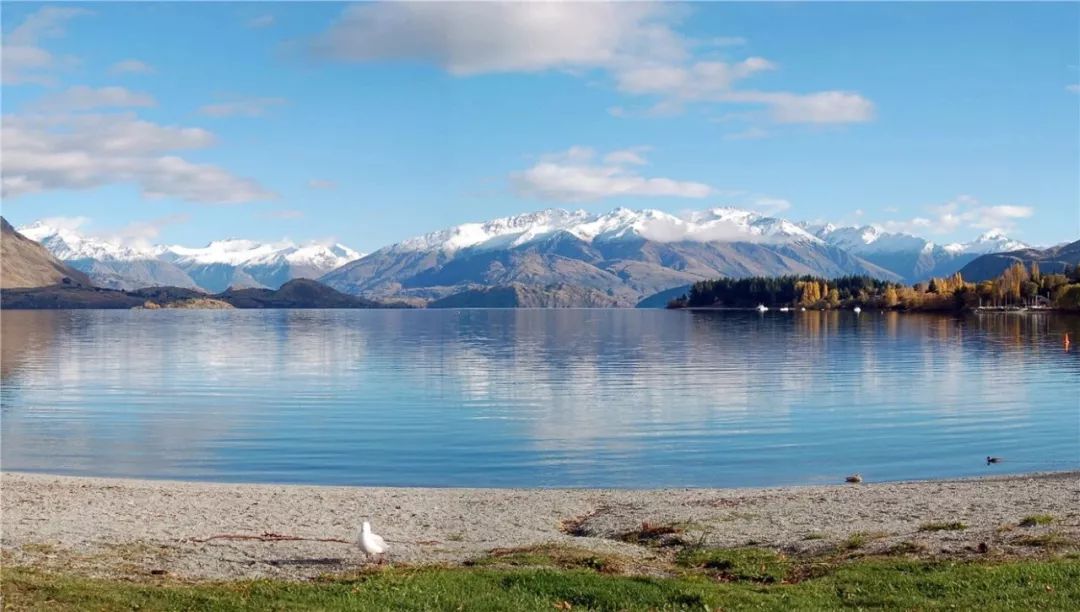 指环王美剧开拍,剧版指环王美景