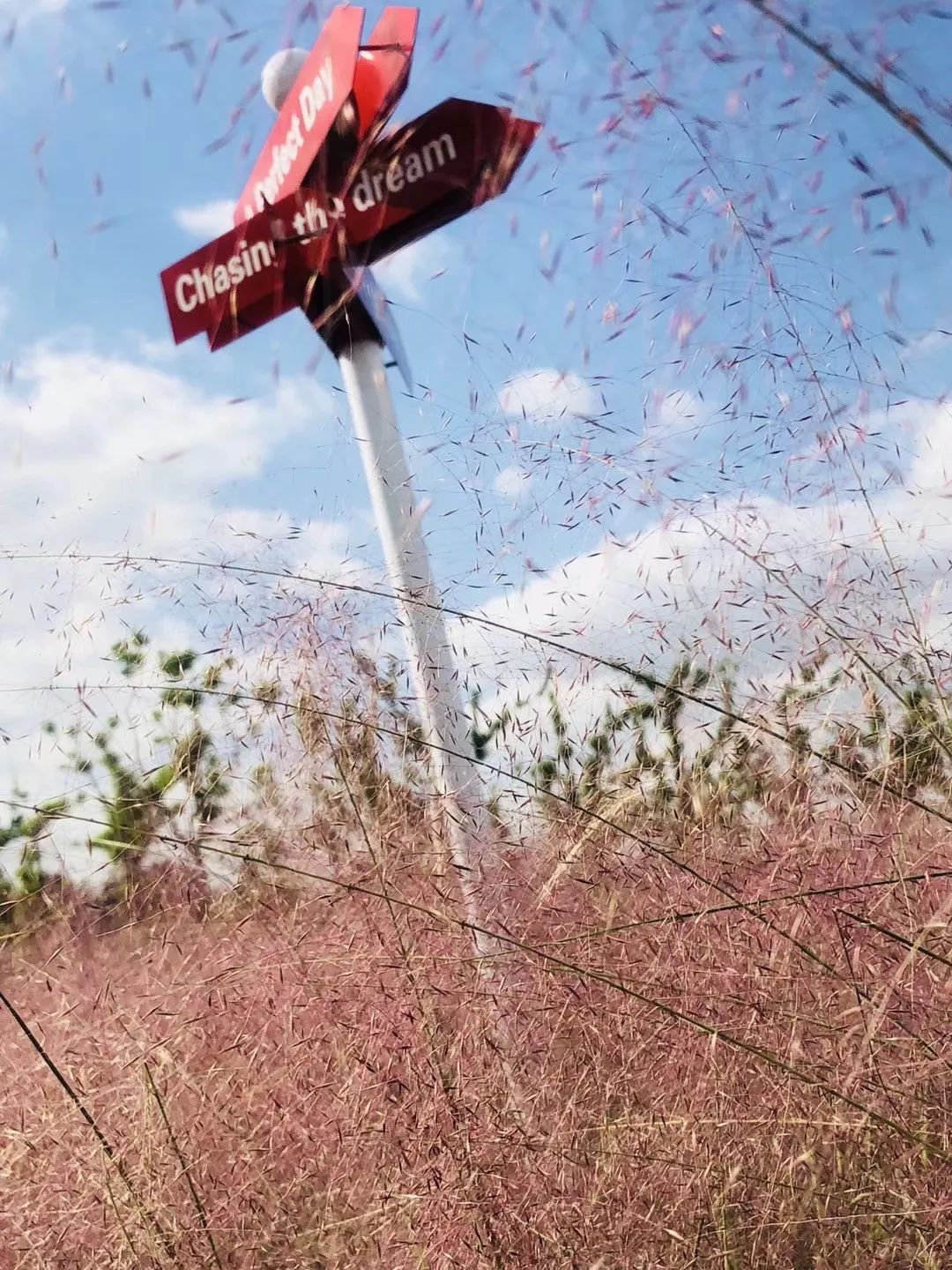 上海影视乐园有哪些场景,上海影视乐园有什么看点