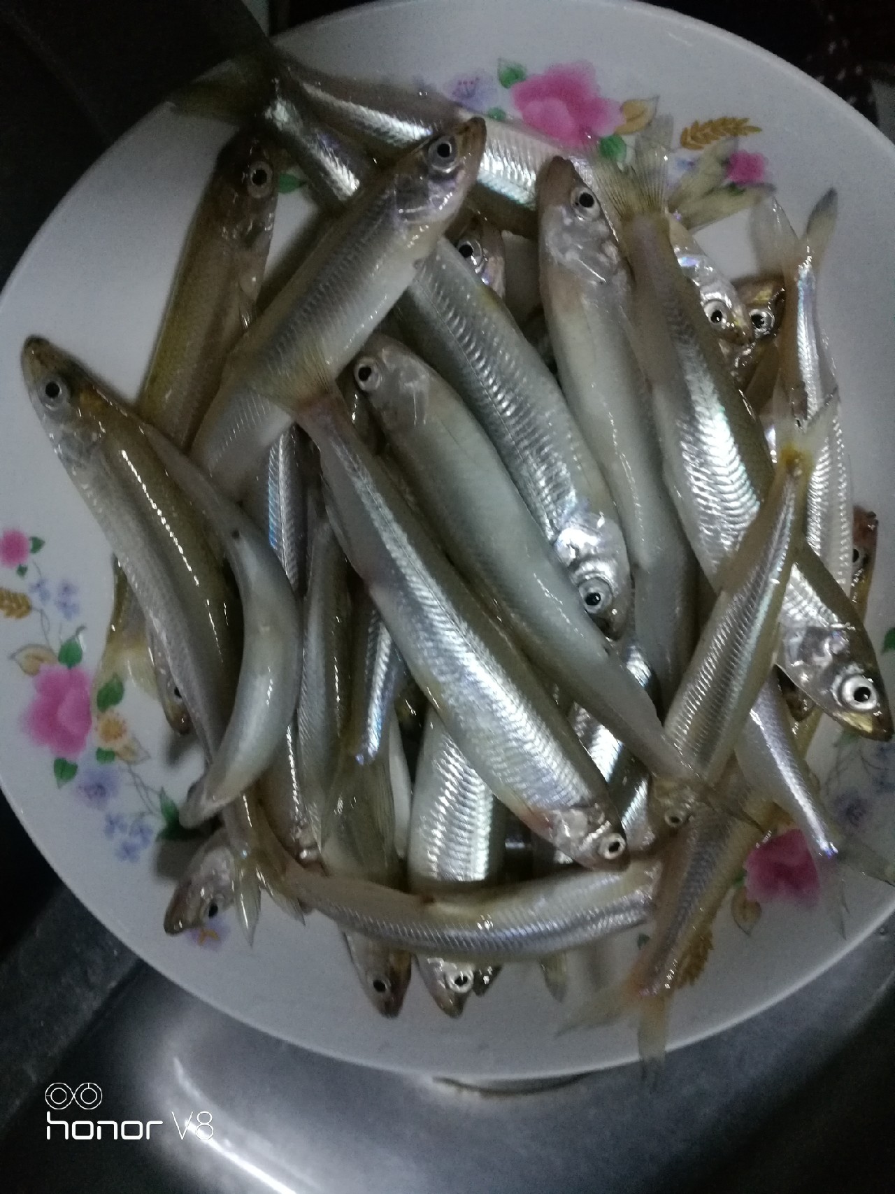 初春野河钓小杂鱼,野钓避杂鱼