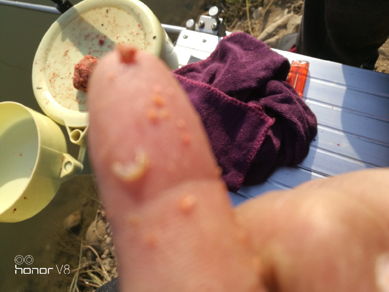 初春野河钓小杂鱼,野钓避杂鱼