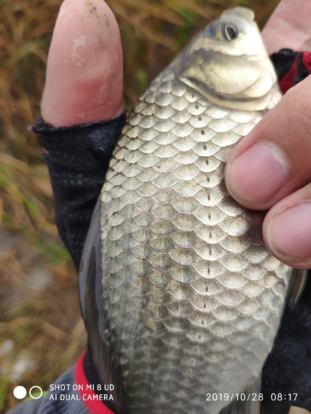和钓友吃吃喝喝好不好,野钓与钓友