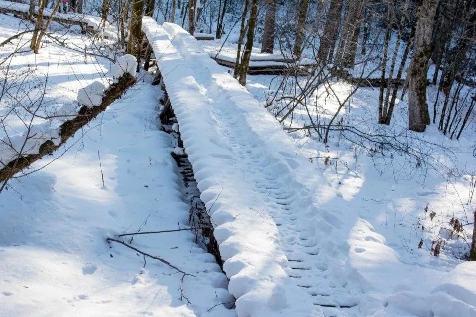 我的野保坑是这样填出来的：打豆豆，就酱