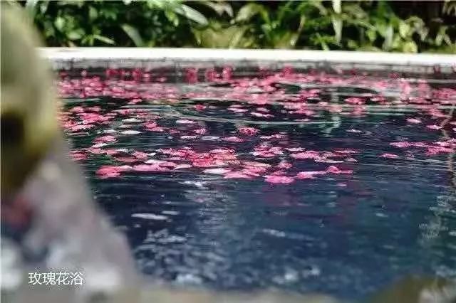 湛江避寒旅游名单,湛江冬季旅游酒店