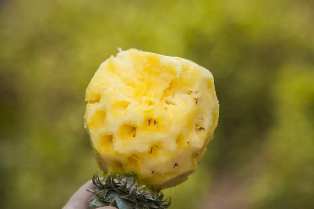 一月哪些星座桃花运最旺,10月份桃花运最强的三大星座