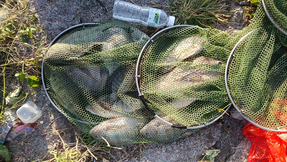 带友渔乐记渔获20斤,钓鱼不能*欢偷**