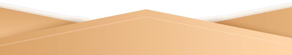 什么是硅藻泥,什么是硅石