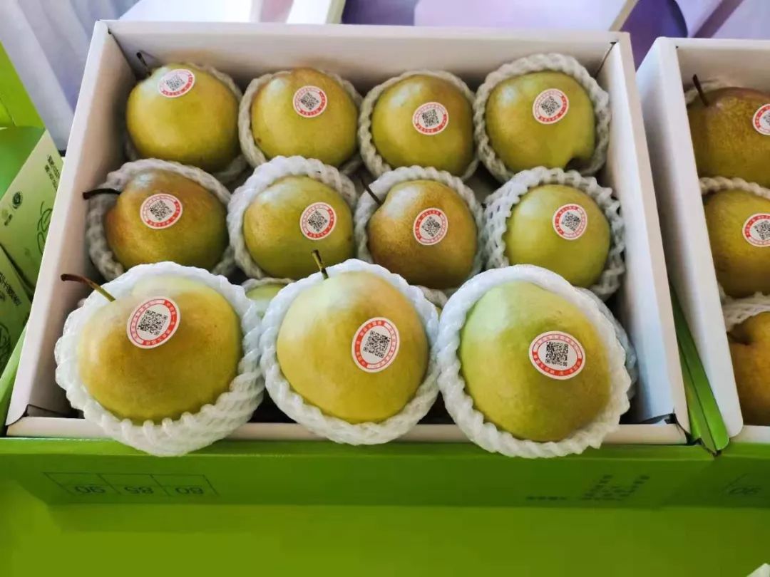 欢迎国家级贫困县合作社免费参展：京东、盒马、百果园、本来生活...大牌齐聚行业盛典！百亿订单等您来签