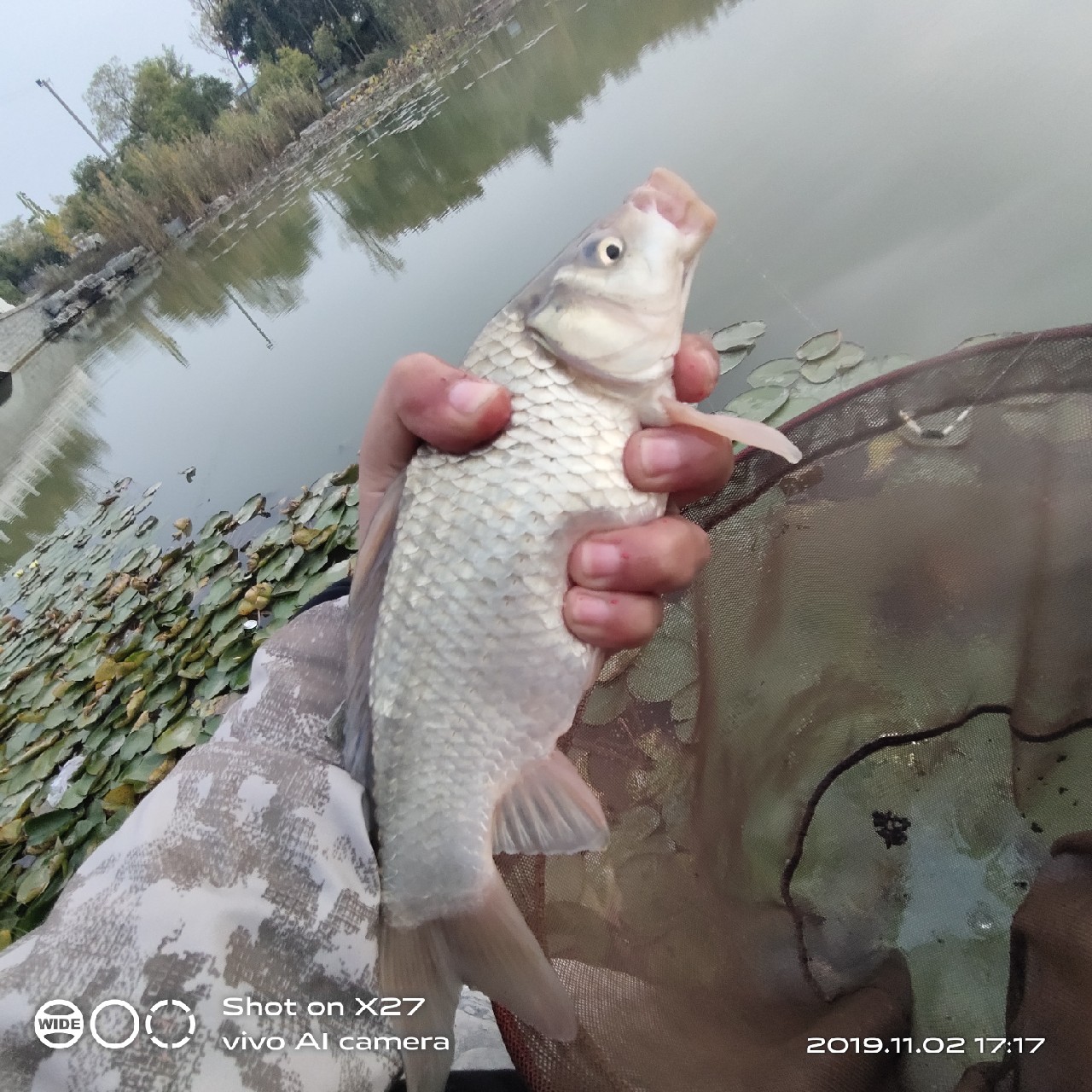 坚持就是胜利,收竿鱼喜获漂亮大板一尾