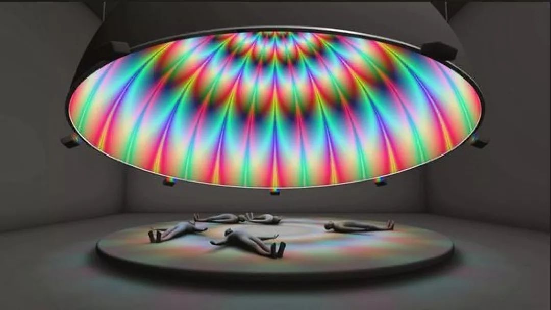 1000㎡展示中心：兔子先生的奇幻梦境