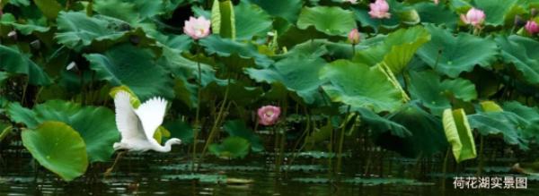 滇中新区嘉丽泽恒大养生谷,恒大昆明嘉丽泽养生谷最新消息