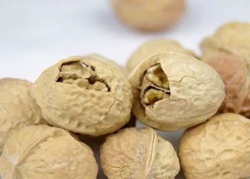 卖的薄皮核桃可以吃吗,青皮核桃有氯的味道还能吃吗