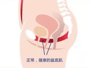 刘涛怎么做到生了两个娃还逆生长的？