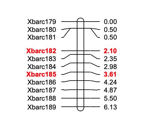 如何绘制交叉网状图,怎么快速画线性图