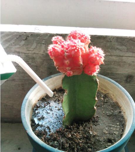 牛奶已经过期了怎么办,过期牛奶去污小妙招