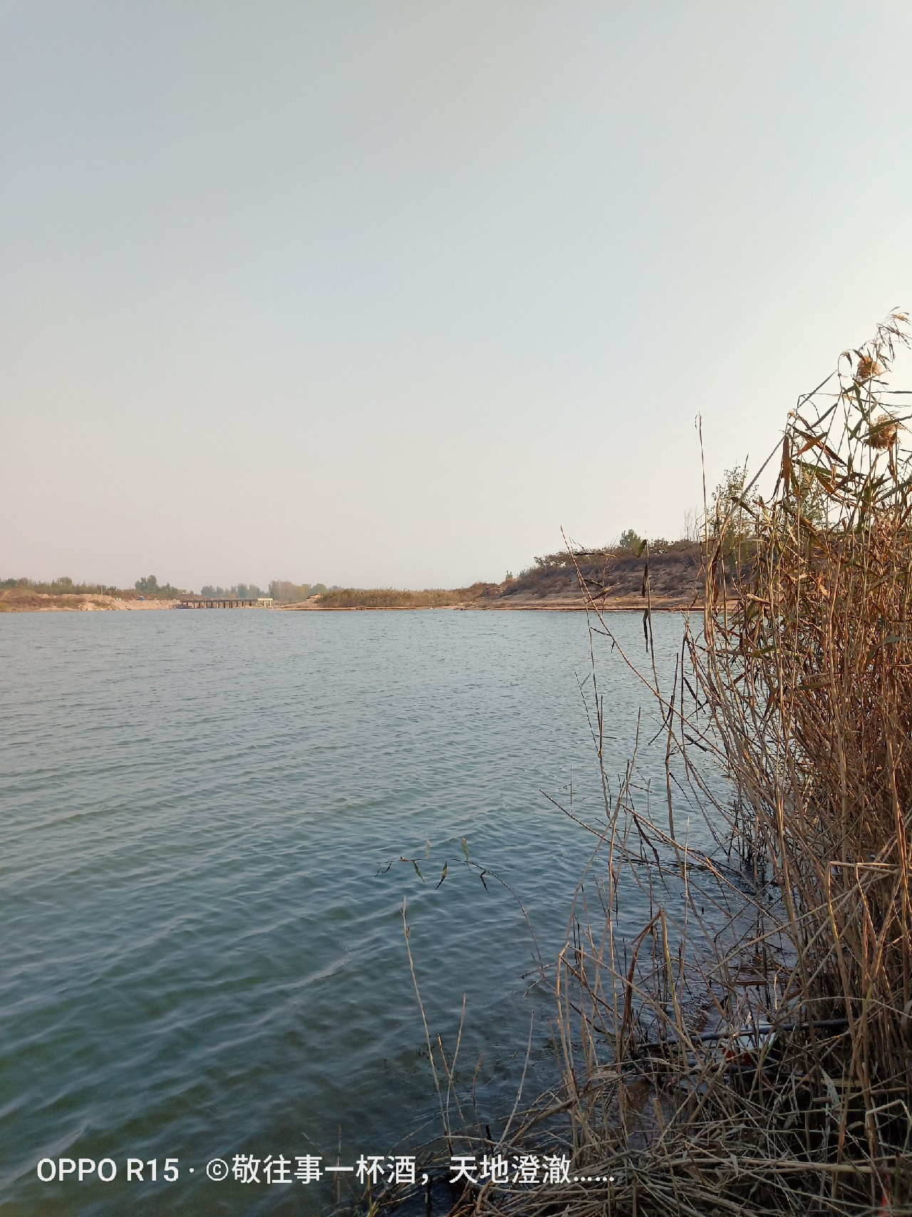 征服喝酒唱歌老三样,征服老三样片段