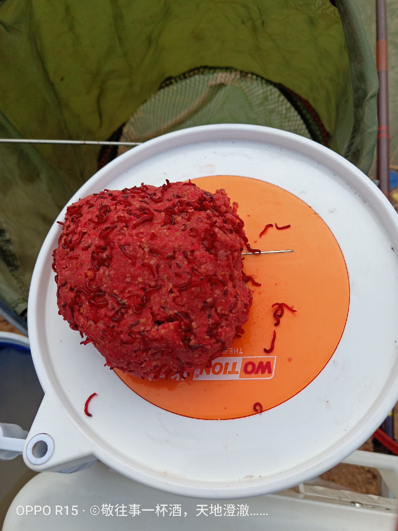 征服喝酒唱歌老三样,征服老三样片段