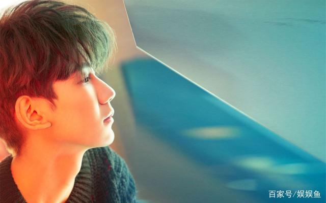 王源的粉丝应援有哪些,王源生日应援上热搜了吗