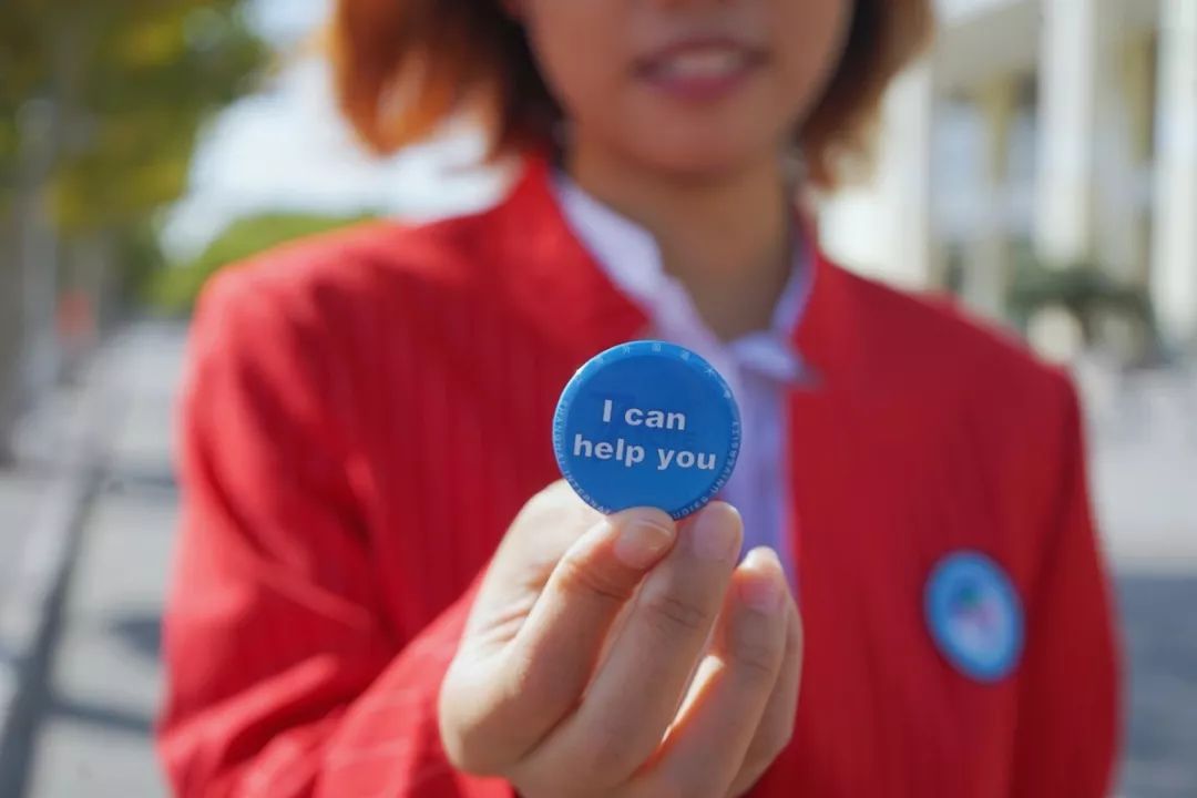 进博会小叶子徽章,进博会小叶子完整视频