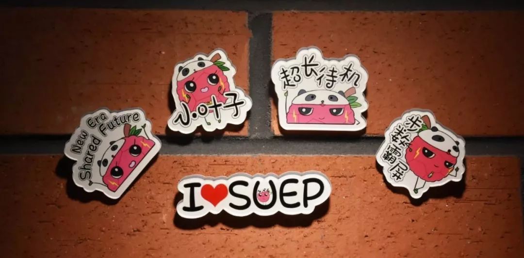 进博会小叶子徽章,进博会小叶子完整视频