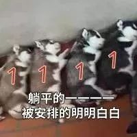 双十一别花冤枉钱,双十一别买买买视频