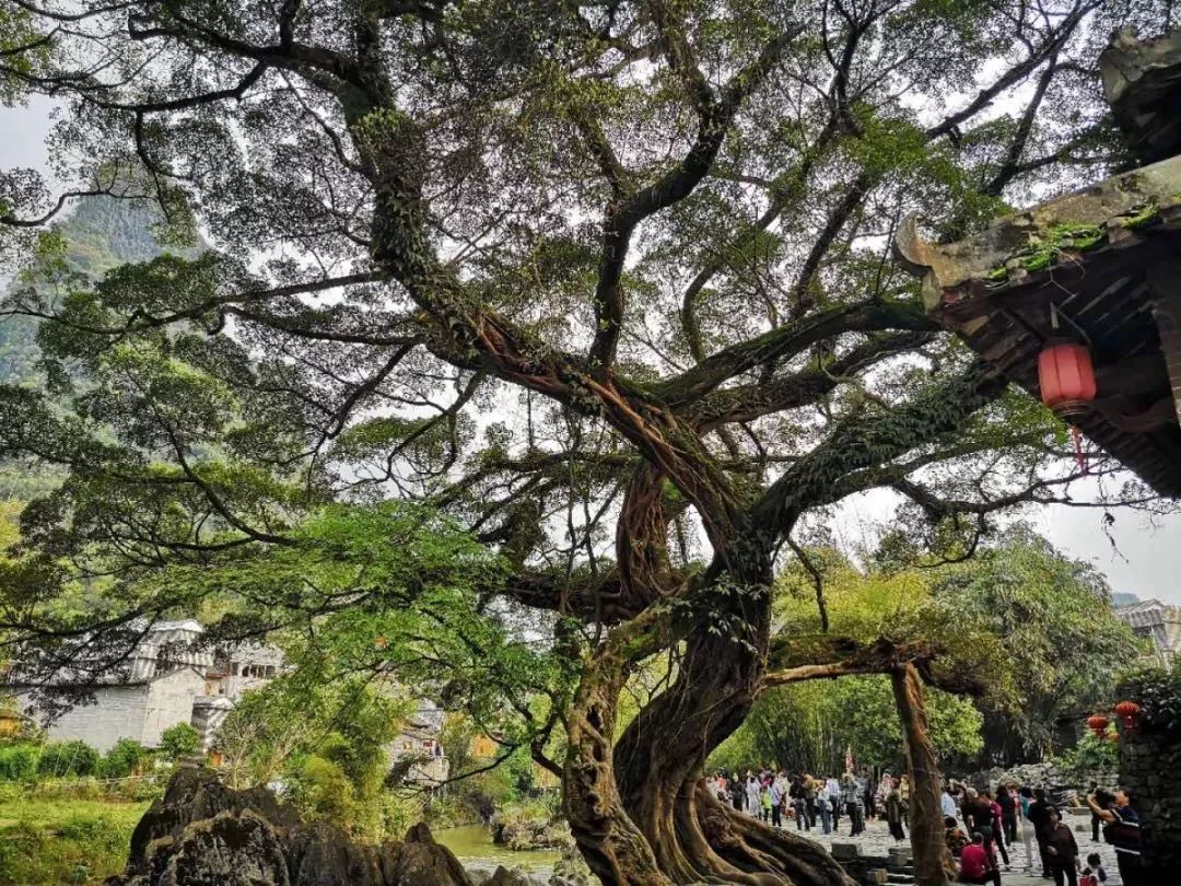 贺州旅游十大最佳景点推荐,广西贺州旅游必去十大景点排名