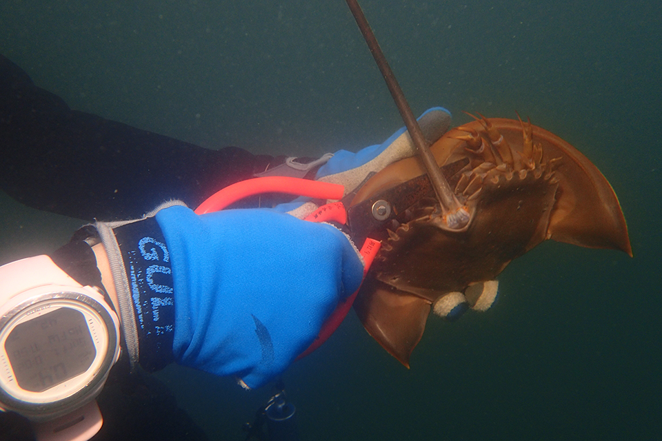 幽灵渔具,幽灵钓具靠谱吗