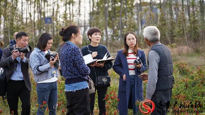 来村网创始人李敏：用心打造电商平台，不忘初心助力脱贫