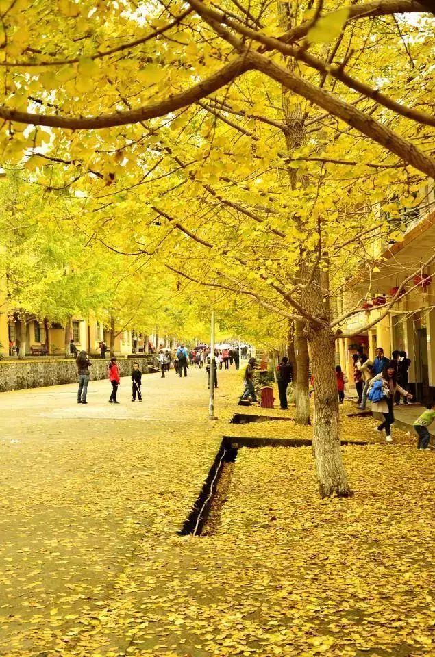 对不起，这个秋天我要去韶关南雄