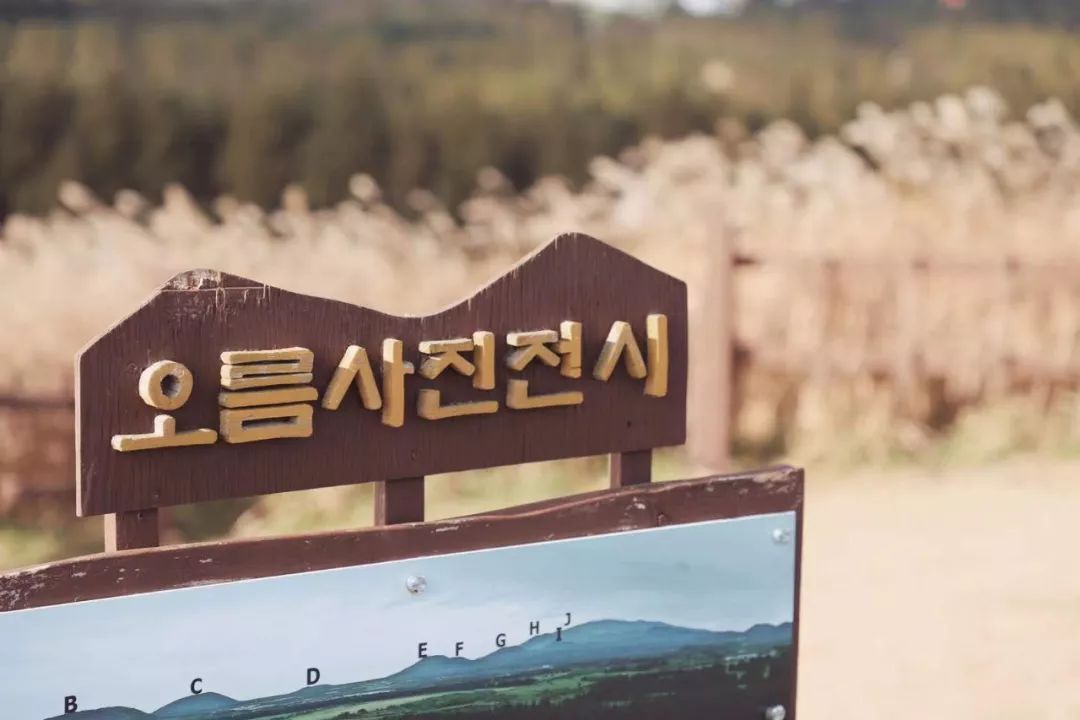 这座免签小岛，几乎出现在了每一部浪漫韩剧里