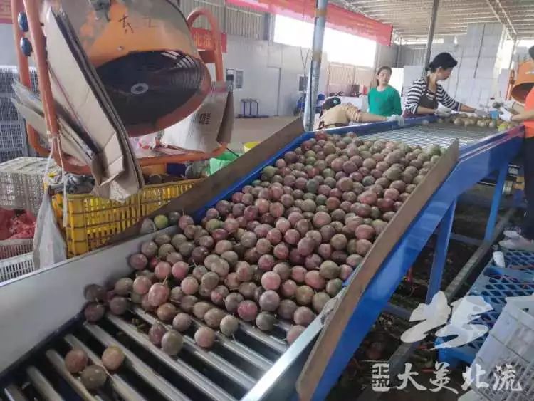 ohmygod闆堕,ohmygod瑗跨摐瑙嗛