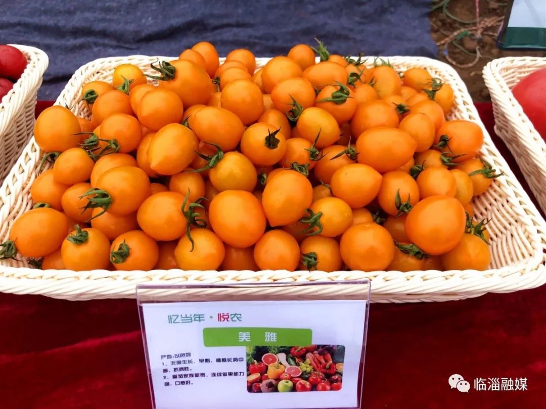 临淄经济发展现场,临淄经济社会发展