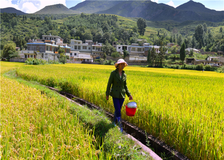 曹振华富源,富源金城路曹振华