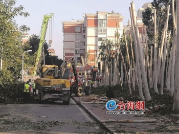 厦门前埔健身公园要改造吗,厦门前埔健身公园视频