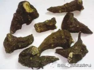 今年已致212人发病,我省发布乌头碱类中药材中毒防控预警公告