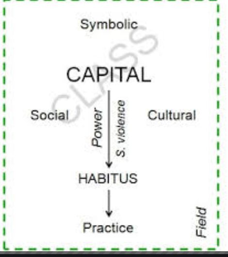 布迪厄的实践理论,布迪厄实践理论
