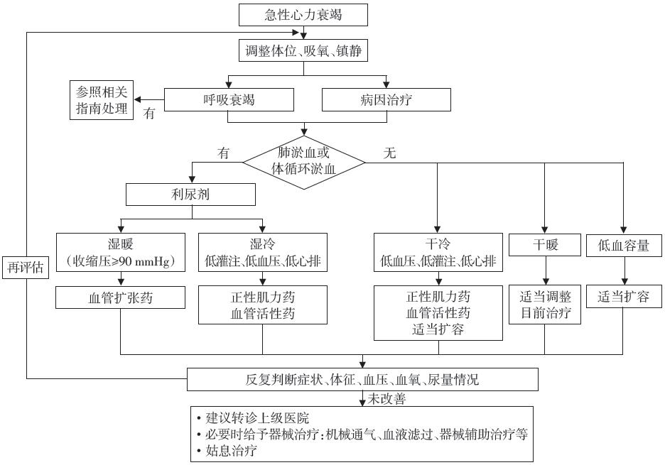 心力衰竭的最新指南,最新的心力衰竭指南