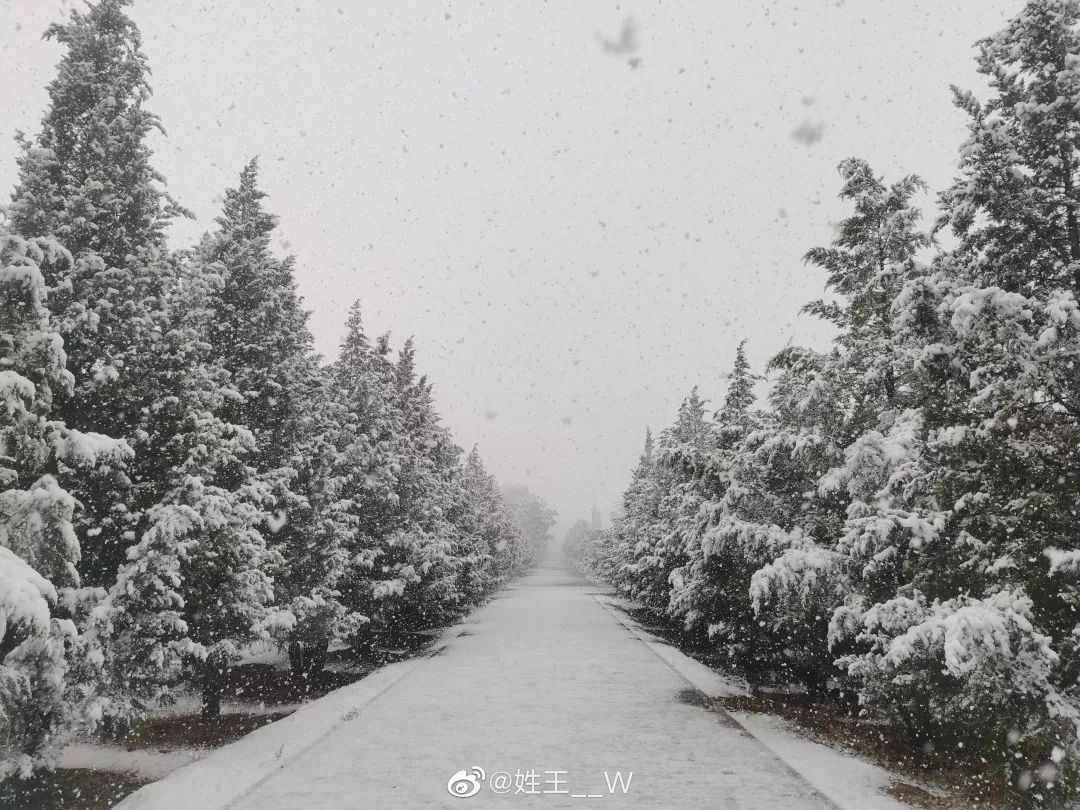 中国哪里开始下雪了,什么地方开始下雪了