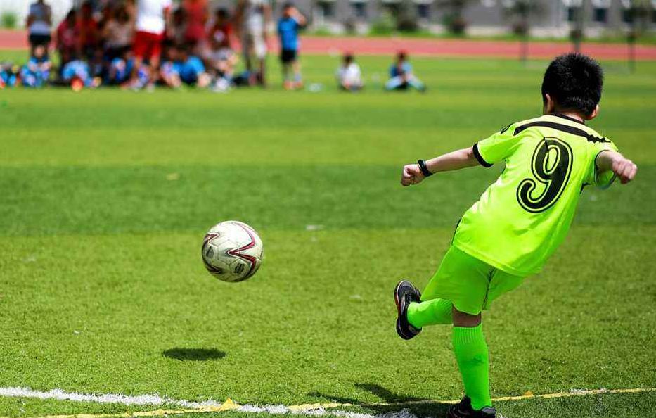 沧州市成绩顶尖的小学排名,沧州市最好的中学排名榜