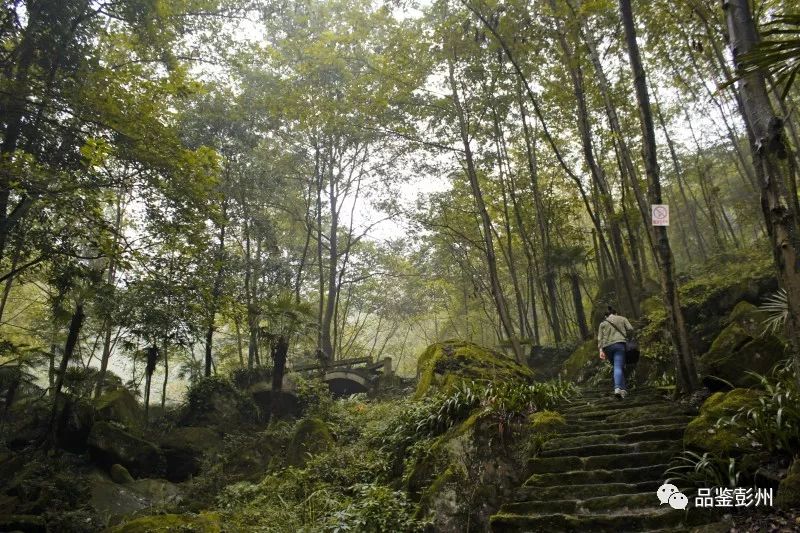 彭州许你一个七彩的世界,来彭州带你看海