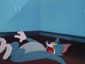 猫空中转体的动力学,猫空中转身的力学原理