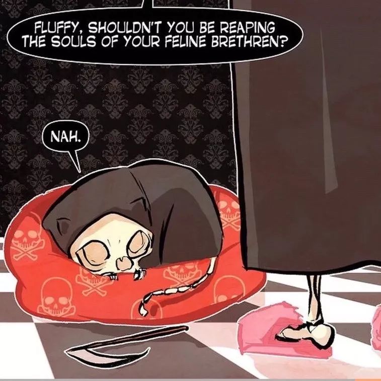 猫空中转体的动力学,猫空中转身的力学原理