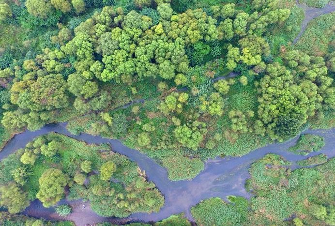 鹤壁是全国文明城市么,鹤壁是哪个省的城市